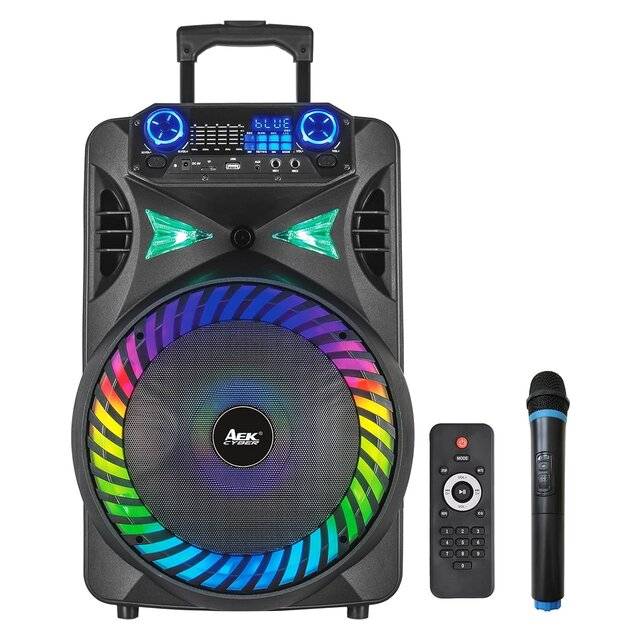 AEK YBX-008 (12") Speaker