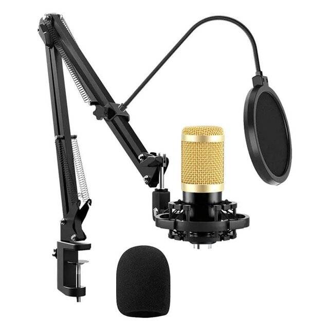 Pro Mic Studio Microphone