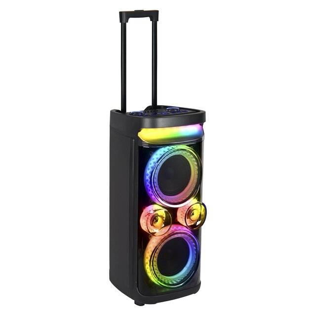 Ailiang Kolav D2618 (6.5"x2) Speaker